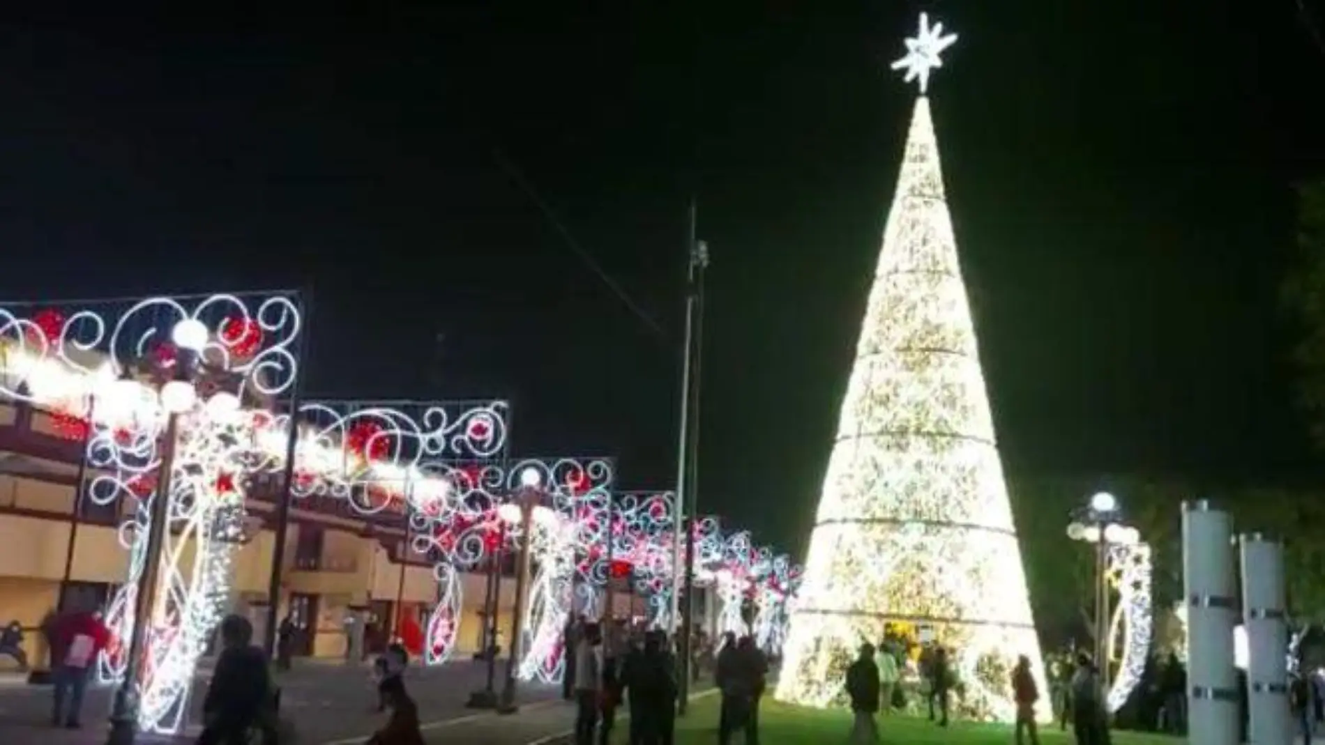 Arbol San Andrés Cholula